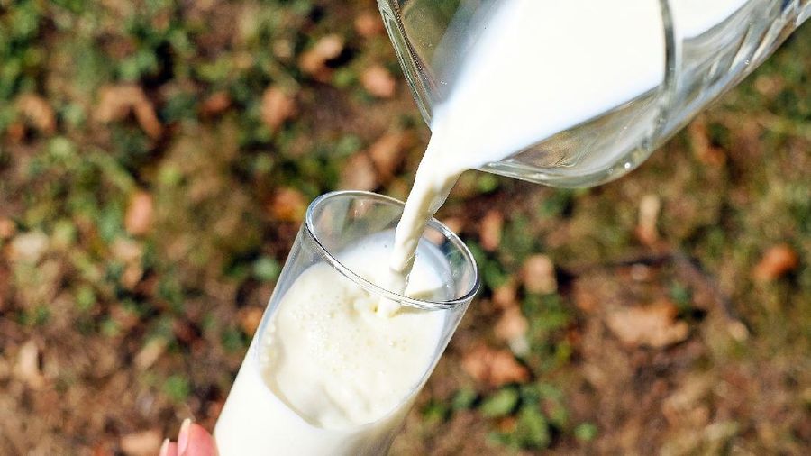 Industri Susu Jadi Bintang Baru Ekonomi RI